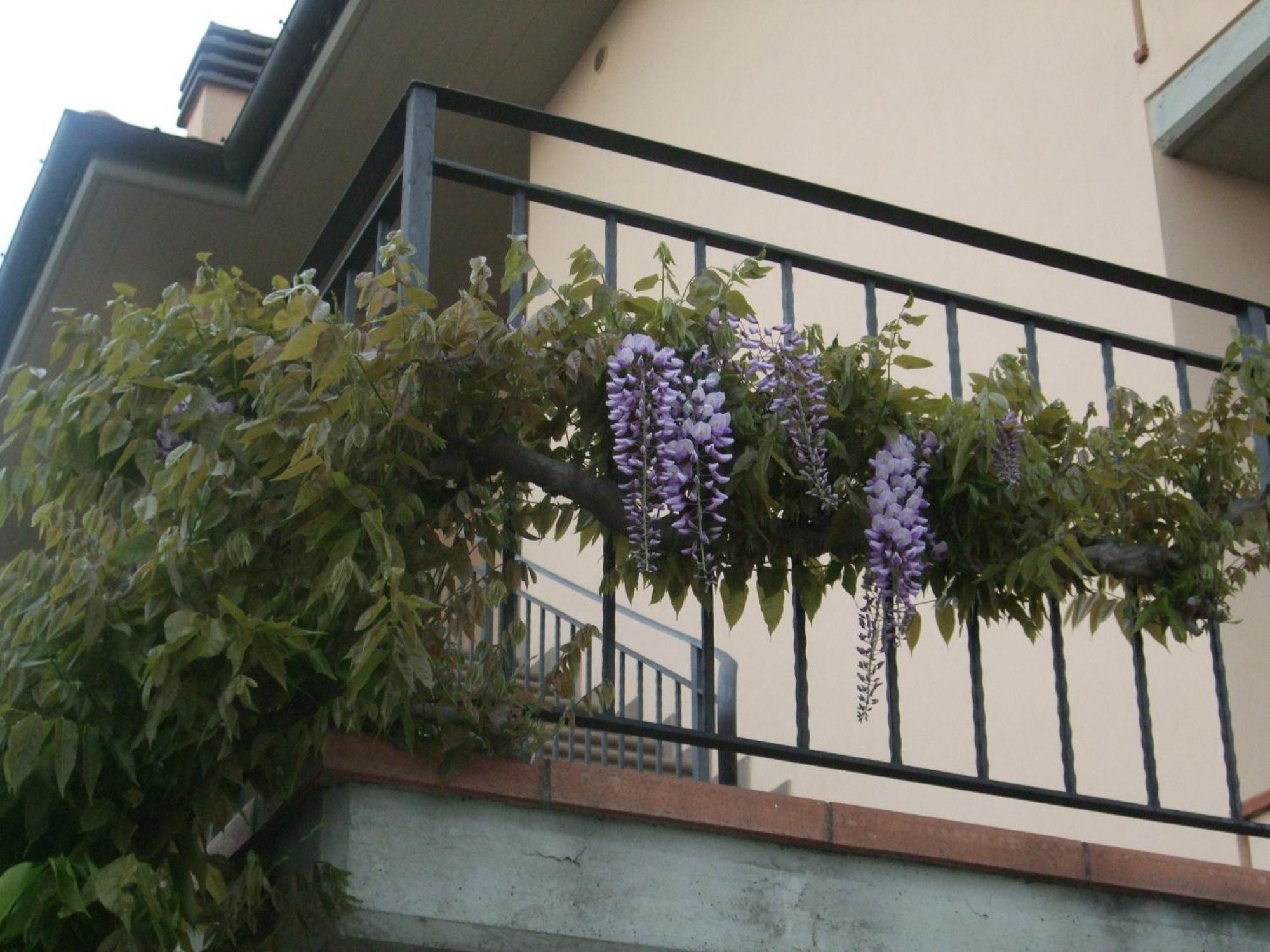 B&B La Casa Di Zefiro Limite Dış mekan fotoğraf