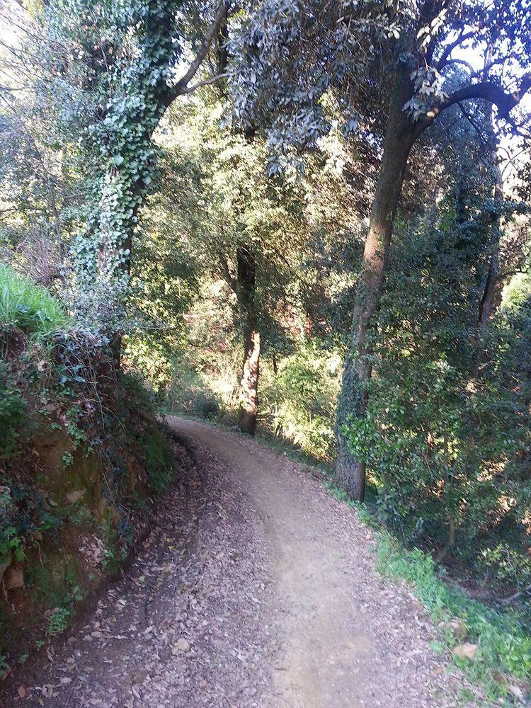 B&B La Casa Di Zefiro Limite Dış mekan fotoğraf