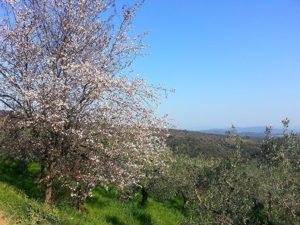 B&B La Casa Di Zefiro Limite Dış mekan fotoğraf
