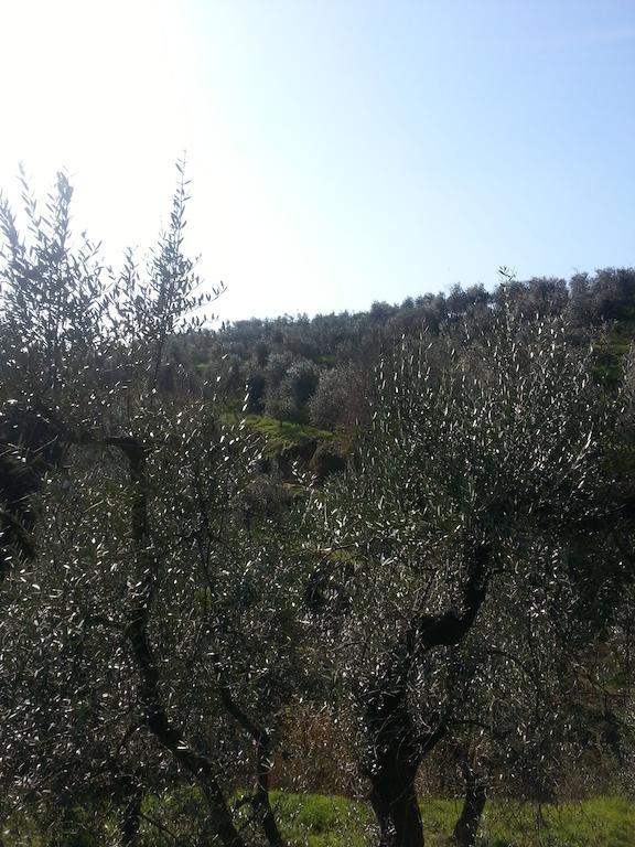 B&B La Casa Di Zefiro Limite Dış mekan fotoğraf