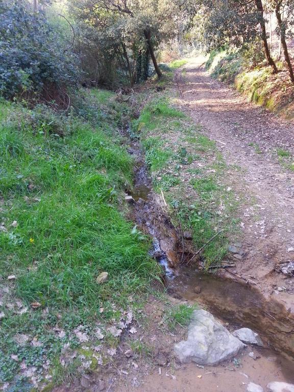 B&B La Casa Di Zefiro Limite Dış mekan fotoğraf